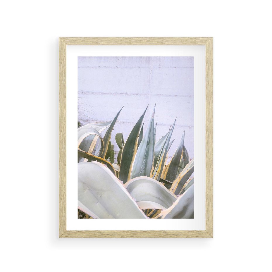 Plakat w ramie 30x40 - Sukulentowe liście - liście, sukulenty - rama drewno