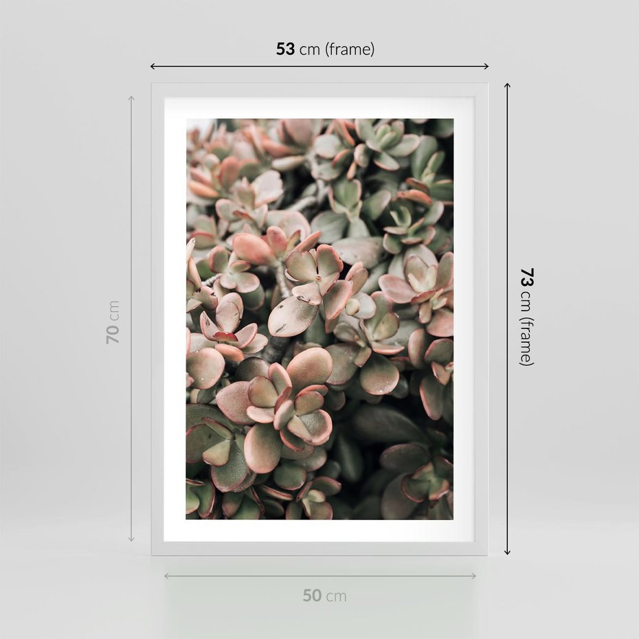 Plakat w ramie 50x70 - Sukulentowa Prostota - sukulenty, zielone liście - rama biała