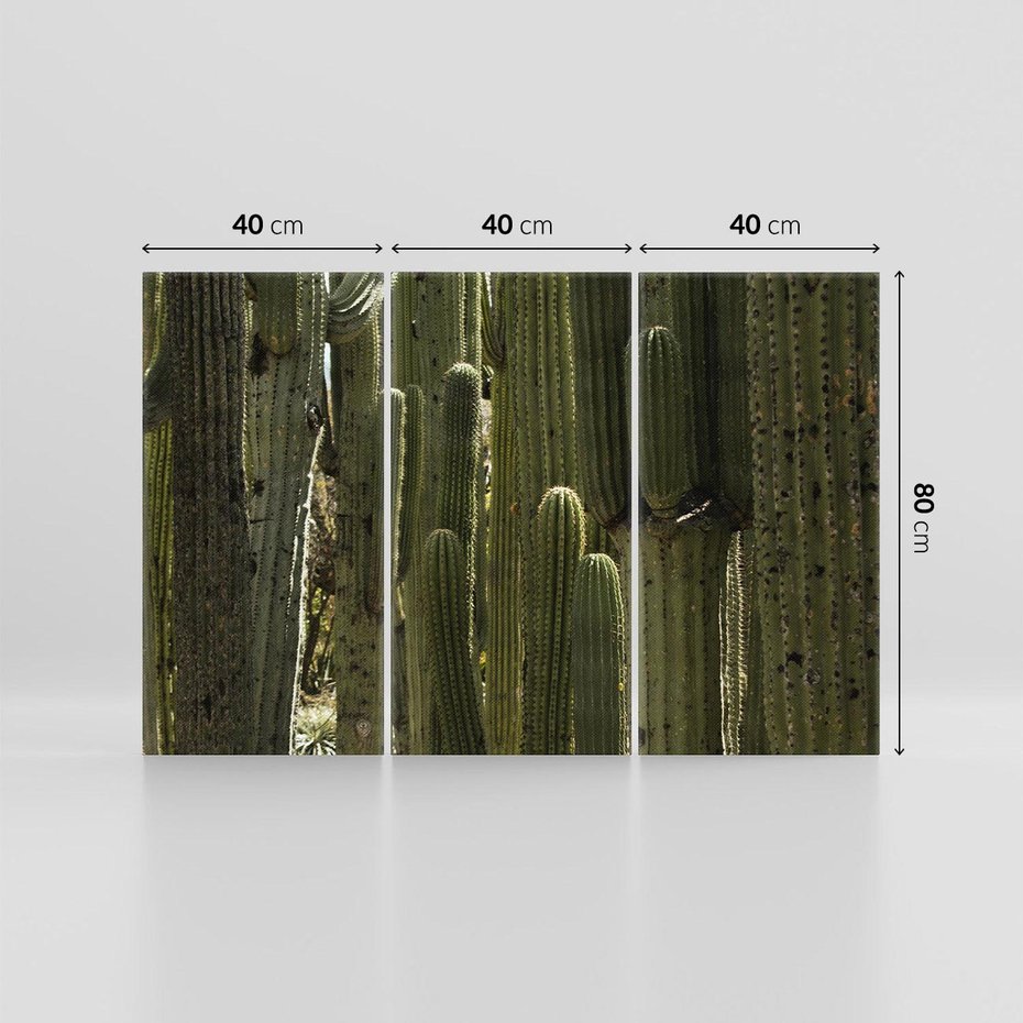 Obraz na płótnie 120x80 - Wyjątkowy Klimat Boho - kaktusy, pustynia