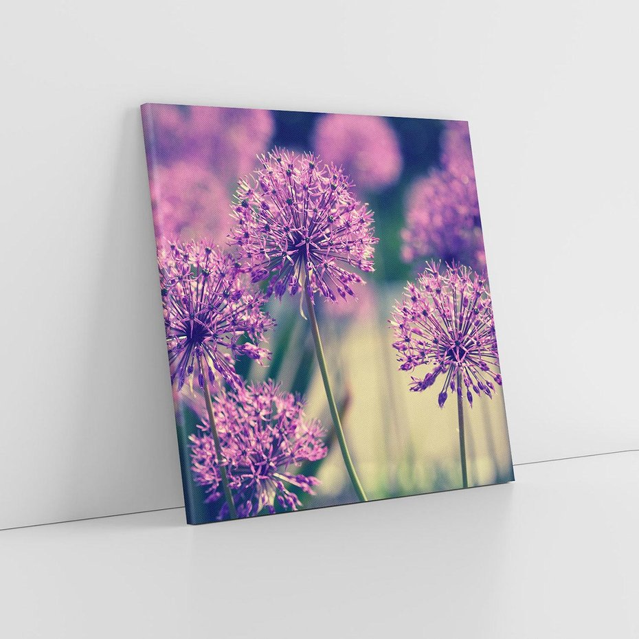 Obraz na płótnie 30x30 - Kwiatowa łąka w pełnym rozkwicie - kwiaty, łąka