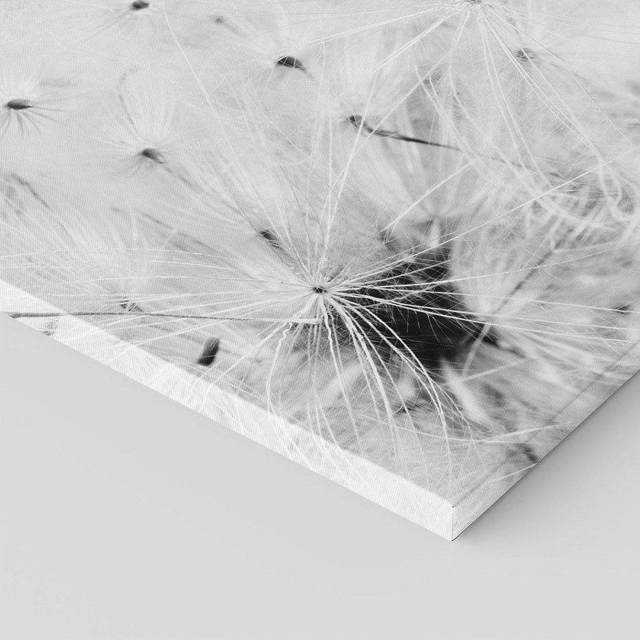 Obraz na płótnie 70x50 - Zdmuchnięty Puch - dmuchawce, delikatne