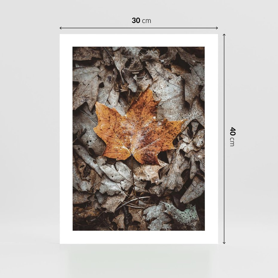 Plakat bez ramy 30x40 - Jesienne Czarowanie - suchy liść, żółty