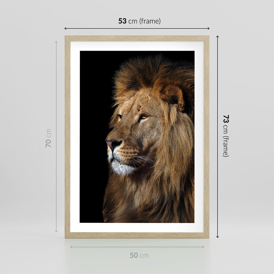 Plakat w ramie 50x70 - Władca Dzikiej Przyrody - lew, król - rama drewno
