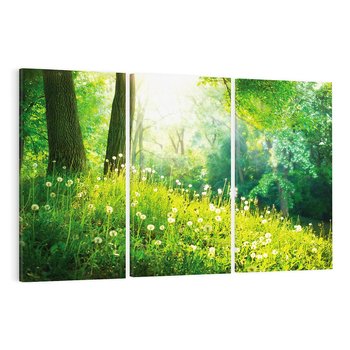 Obraz na płótnie 120x80 - Urok natury - magiczny las na płótnie - las, trawa