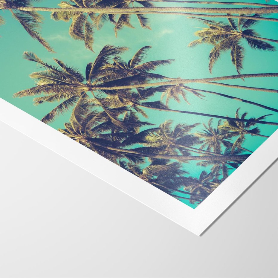 Plakat bez ramy 50x70 - Tropikalne palmy w krainie słonecznych wakacji - palmy, tropiki