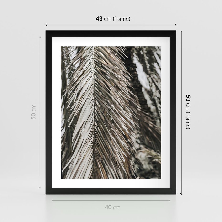 Plakat w ramie 40x50 - Egzotyczne Gałęzie - suche gałęzie, liście palmy - rama czarna