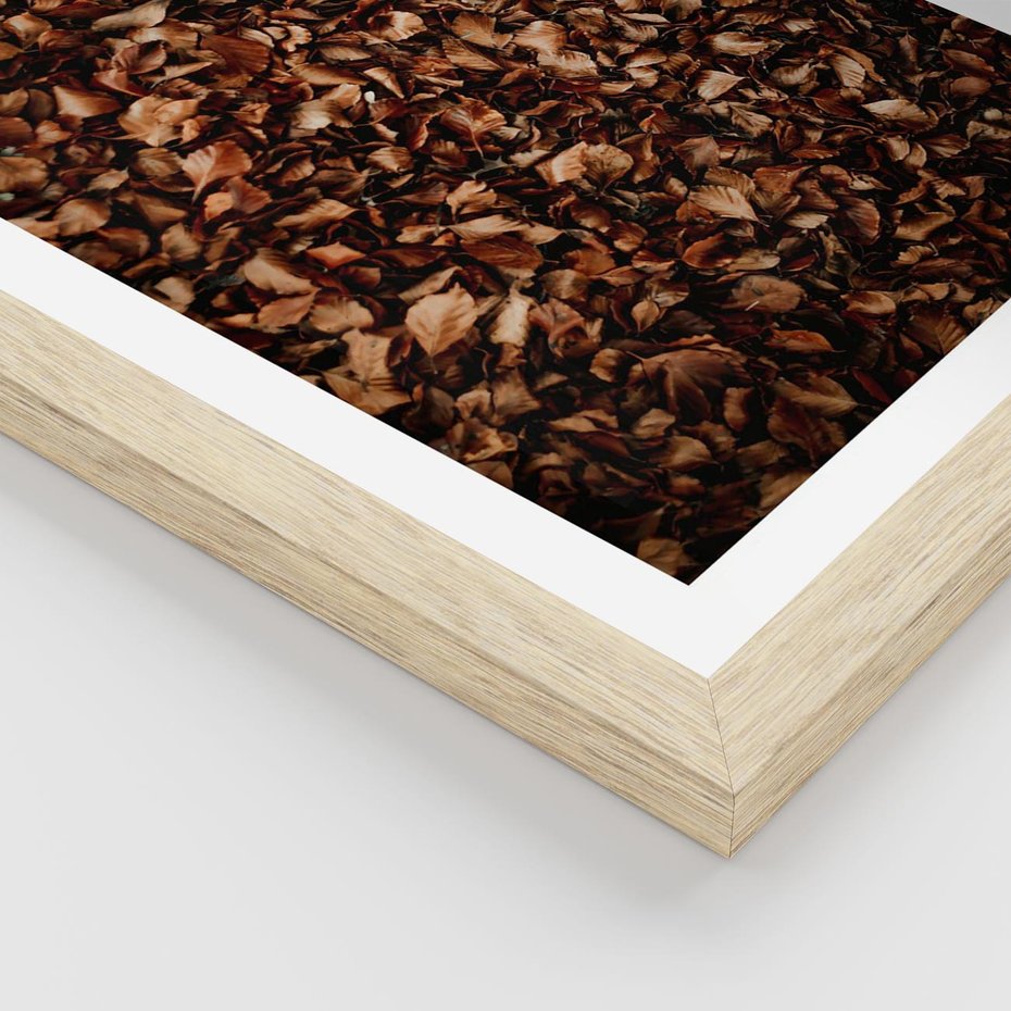 Plakat w ramie 50x70 - Jesienny Dywan - dywan z suchych liści, jesień - rama drewno