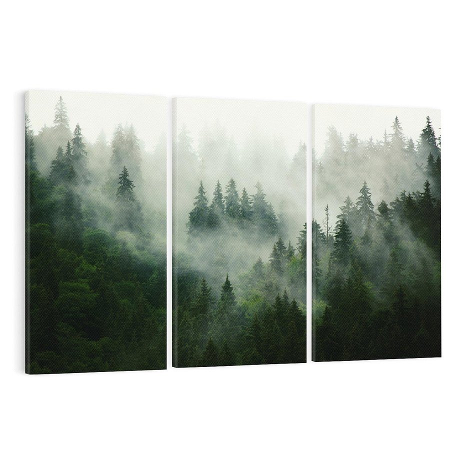 Obraz na płótnie 120x80 - Las Mgły - Las, we