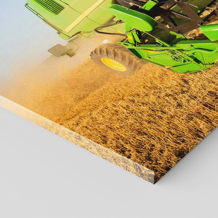 Obraz na płótnie 140x70 - Złociste żniwa na kombajnie - kombajn, zboże