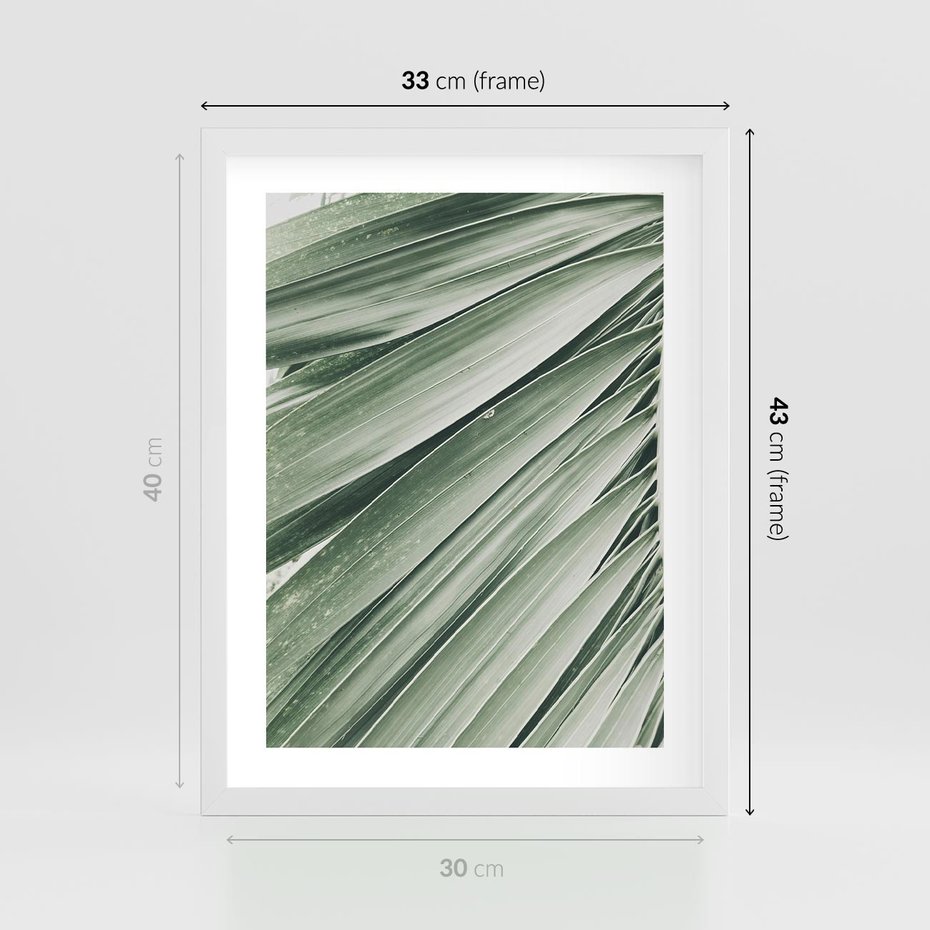 Plakat w ramie 30x40 - Tropikalna Oaza - zielony liść palmy, zieleń - rama biała
