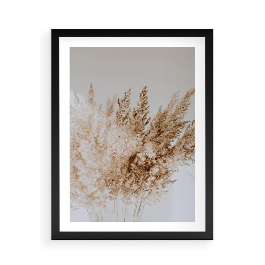 Plakat w ramie 50x70 - Boho Urok Traw Pampasowych - suche trawy, pampas - rama czarna