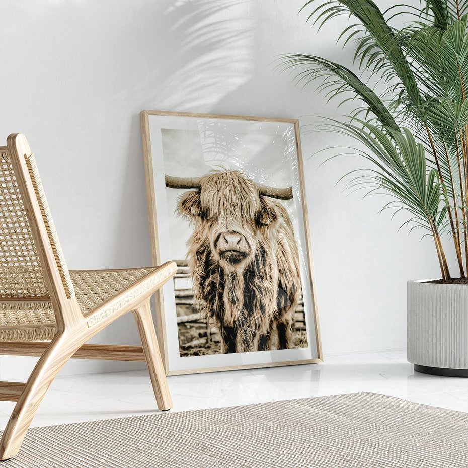 Plakat w ramie 50x70 - Klimat Wiejskiego Życia - amerykańska krowa, byk - rama drewno