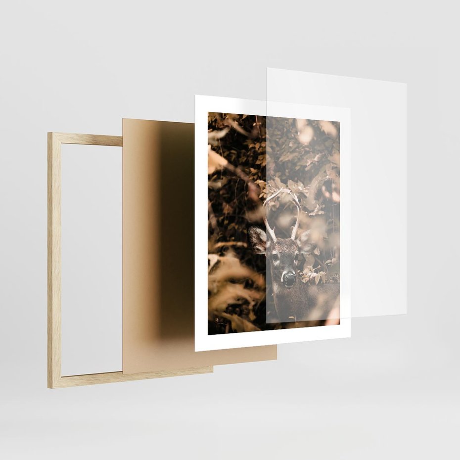 Plakat w ramie 40x50 - Jesienny Jeleń w Lesie - jeleń, w lesie - rama drewno