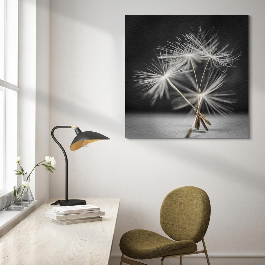 Obraz na płótnie 60x60 - Delikatność dmuchawców zbliżenie - dmuchawce, zbliżenie