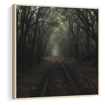 Obraz w ramie 80x80 - Urok Drogi - las, droga - rama drewno