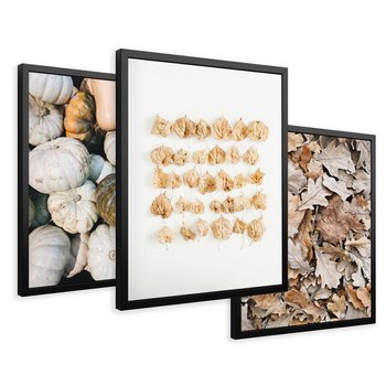 Zestaw obrazy w ramie 30x40 galeria - Jesień, liście, dynie, boho - rama czarna