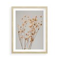Plakat w ramie 50x70 - Delikatne gipsówki - gipsówka, suche - rama drewno