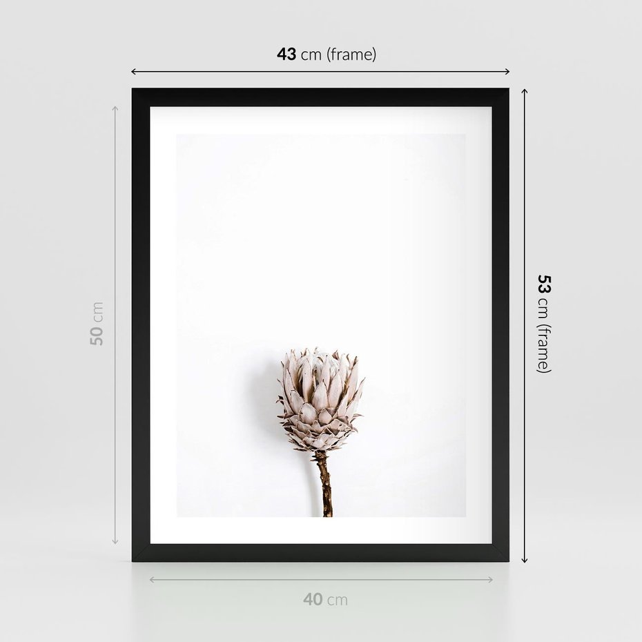 Plakat w ramie 40x50 - Suszona Roślina na Białym Tle - minimalizm, suszona roślina - rama czarna