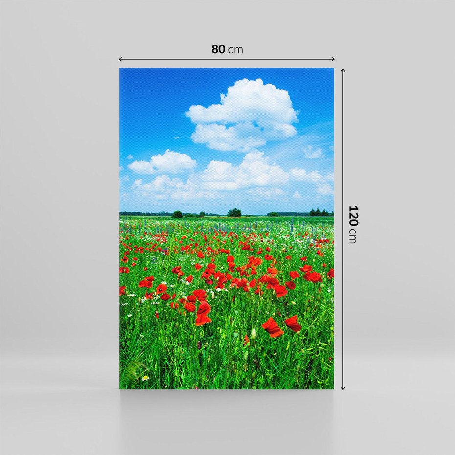 Obraz na płótnie 80x120 - Kolorowa łąka pełna maku - łąka, maki