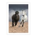 Plakat bez ramy 30x40 - Siła koni w galopie - konie, galop