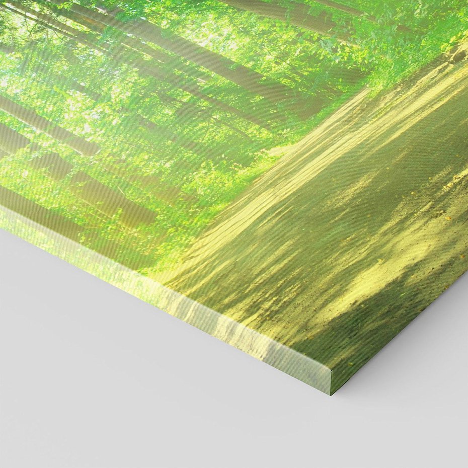 Obraz na płótnie 70x100 - Urok lasu na drodze - las, drzewa