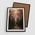 Plakat w ramie 50x70 - Drzewa w Czerwonych Liściach - las, jesienny las - rama czarna