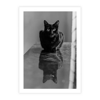 Plakat bez ramy 21x30 - Kocie Oczy - kot, czarno białe zdjęcie