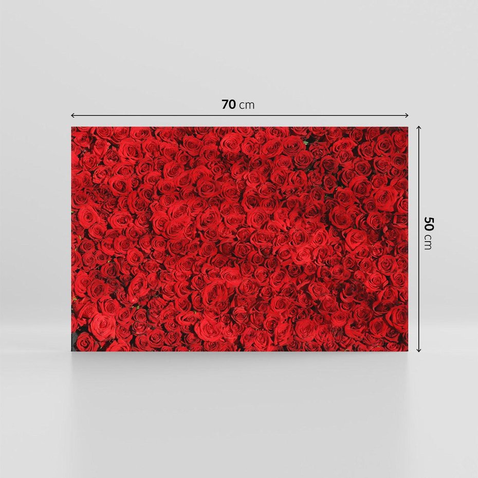 Obraz na płótnie 70x50 - Czerwona Pasja - czerwone, róże