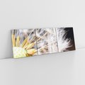 Obraz na płótnie 150x50 - Dmuchawiec: lekkość natury - dmuchawiec, natura