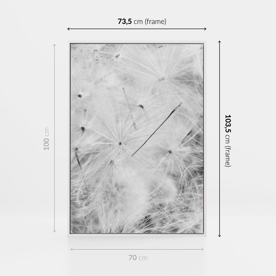 Obraz w ramie 70x100 - Zdmuchnięty Puch - dmuchawce, delikatne - rama biała