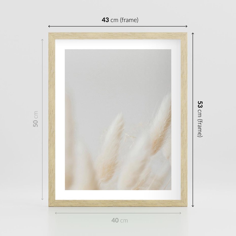 Plakat w ramie 40x50 - Biały Spokój - białe trawy, suche trawy pampas - rama drewno