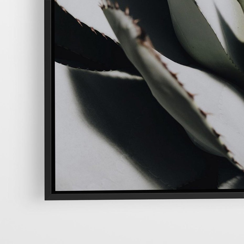 Obraz w ramie 70x50 - Sukulenty wśród kaktusów - sukulenty, kaktusy - rama czarna