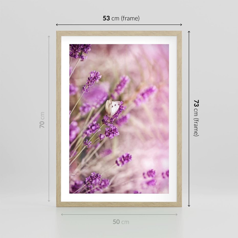 Plakat w ramie 50x70 - Majestat lawendy: fioletowe pola - lawenda, fiolet - rama drewno