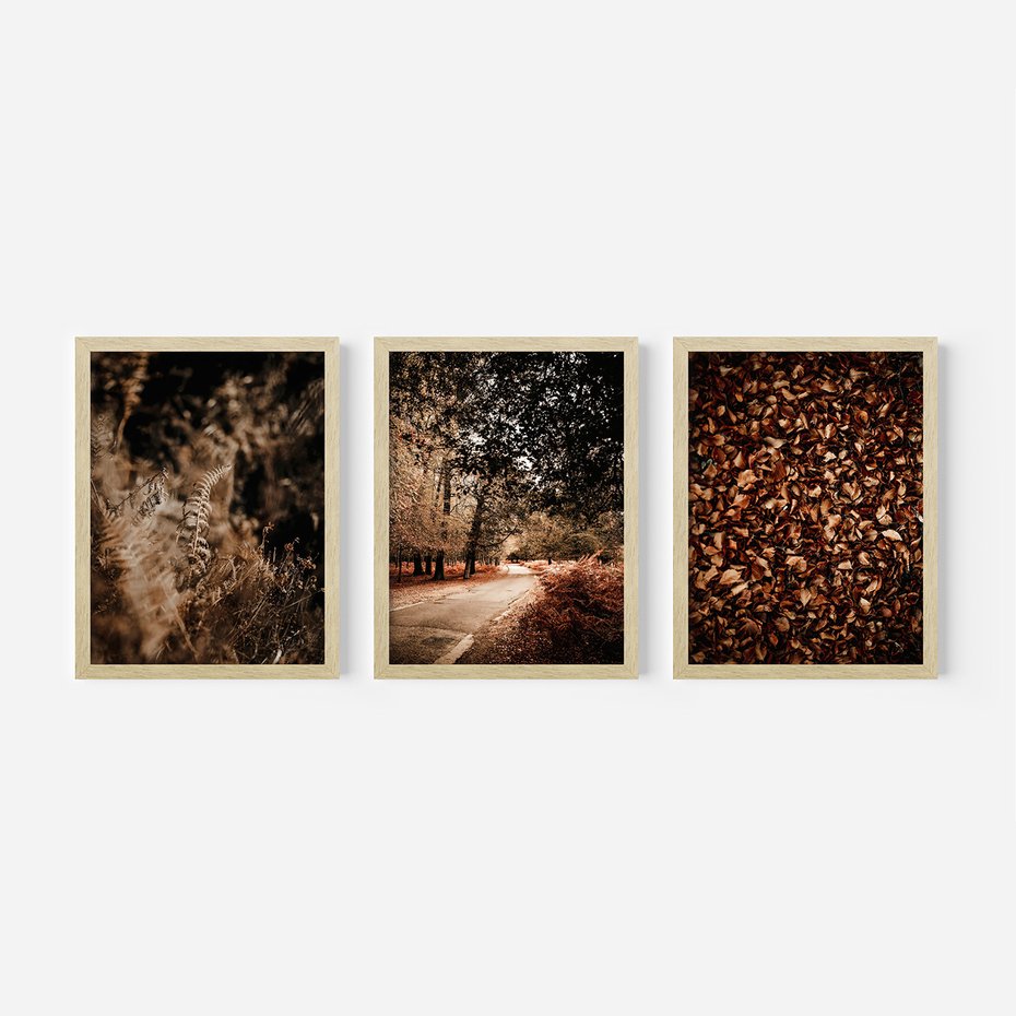 Zestaw obrazy w ramie 40x50 galeria - Jesienne, liście, nostalgia - rama drewno
