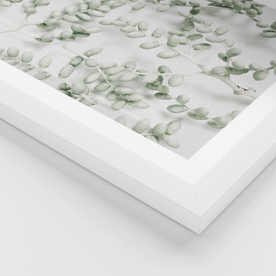 Plakat w ramie 40x50 - Delikatność Zieleni - zielone gałązki, listki - rama biała