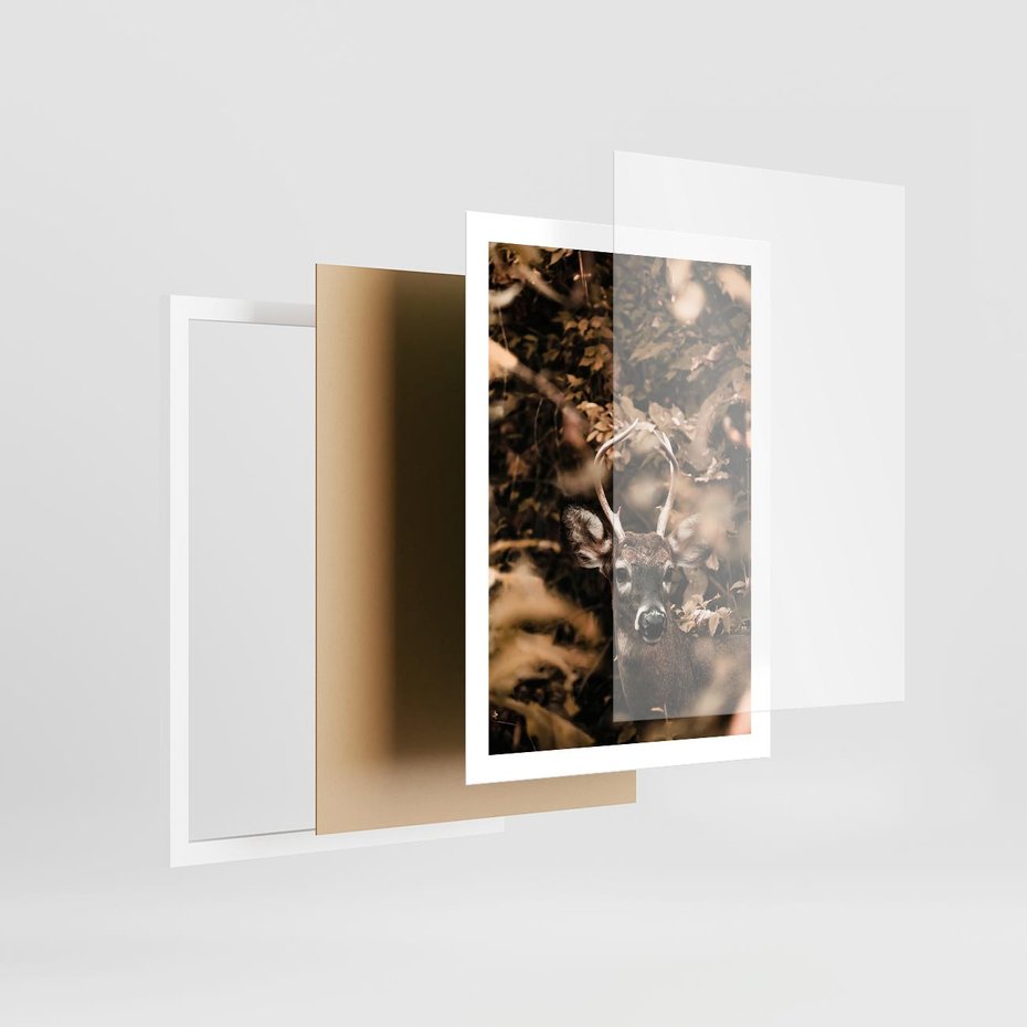 Plakat w ramie 50x70 - Jesienny Jeleń w Lesie - jeleń, w lesie - rama biała