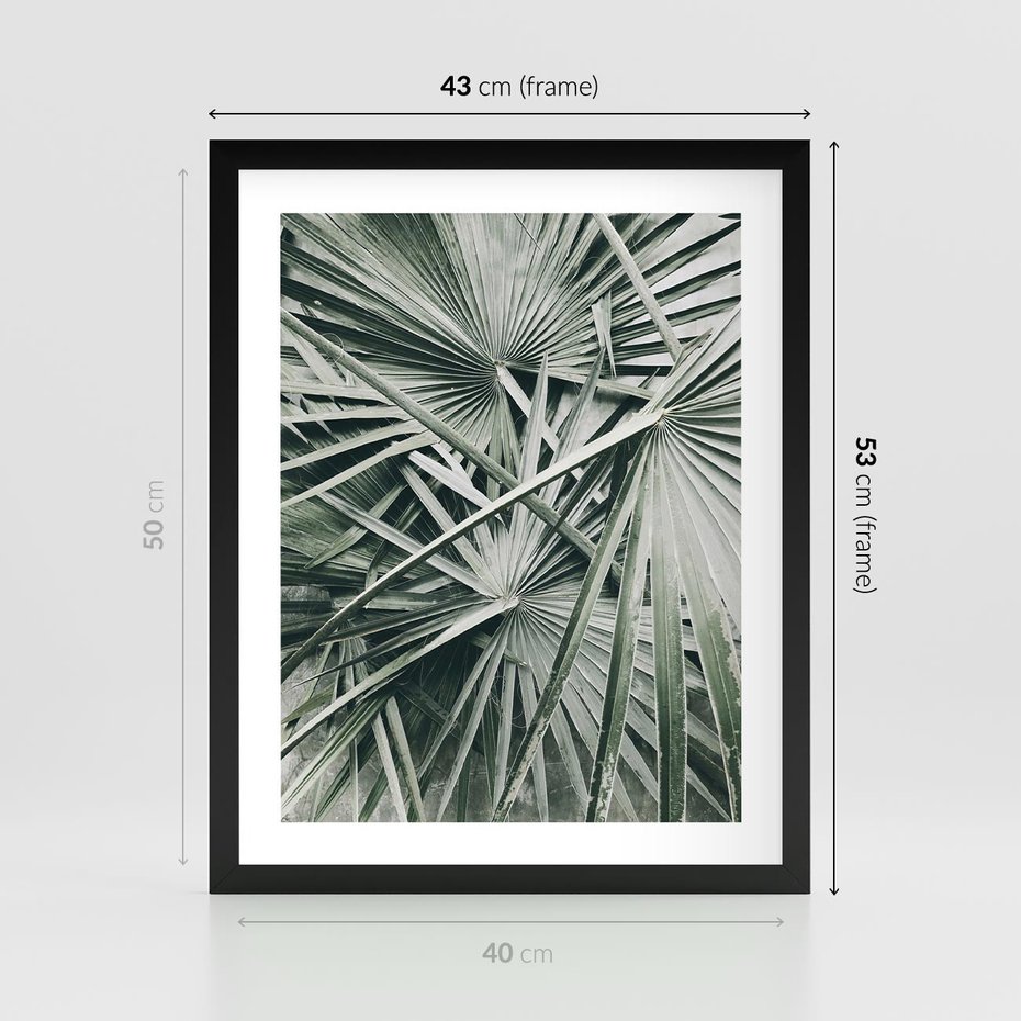 Plakat w ramie 40x50 - Palmy w Zgaszonej Zieleni - palmy, tropikalne liście - rama czarna