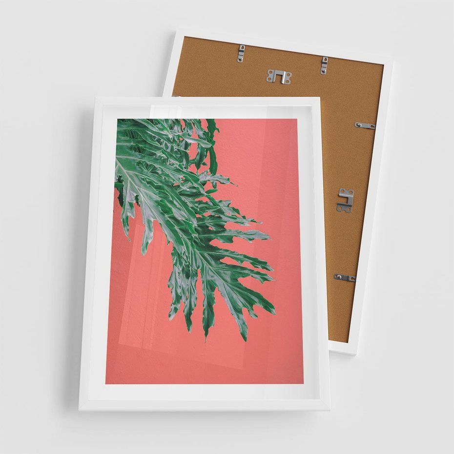 Plakat w ramie 50x70 - Energetyczna Eksplozja Natury - liście, kolor - rama biała