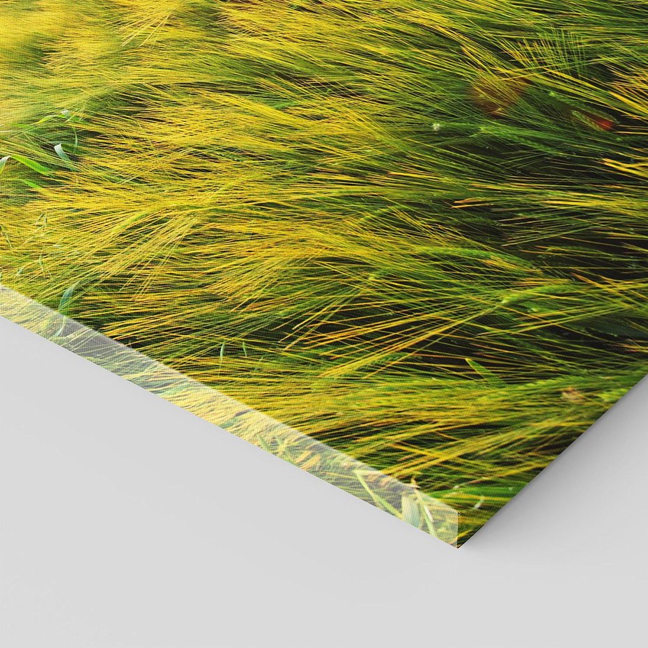 Obraz na płótnie 50x70 - Idylliczna łąka - łąka, natura