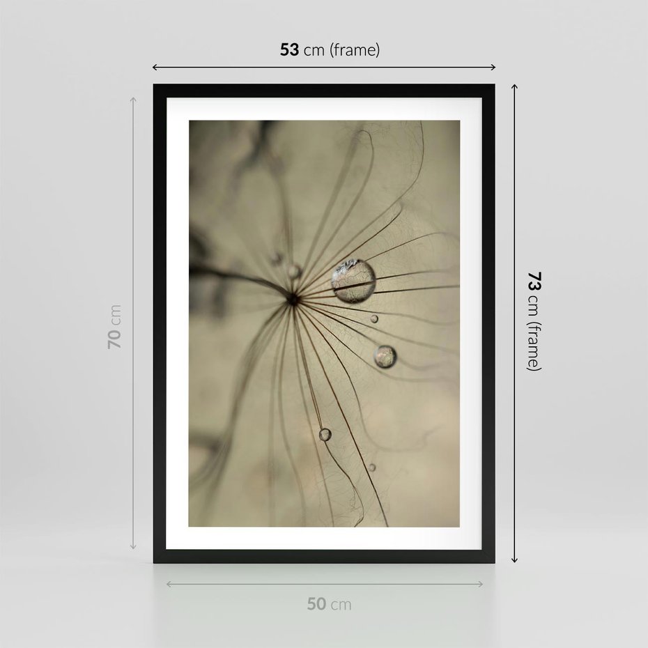 Plakat w ramie 50x70 - Delikatność dmuchawców - dmuchawce, krople - rama czarna