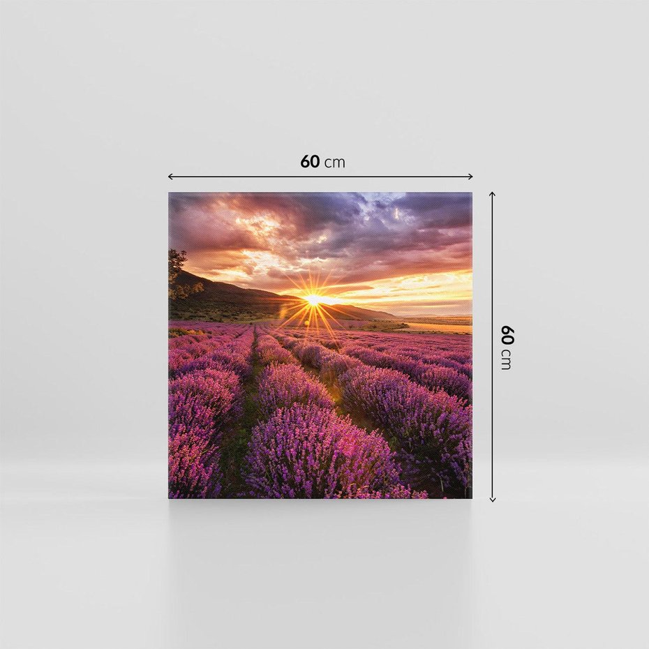 Obraz na płótnie 60x60 - Lawenda: Pachnące pole kwiatów - kwiaty, lawenda