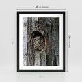 Plakat w ramie 40x50 - Tajemniczy W świecie Nocy - sowa, dziupla - rama czarna