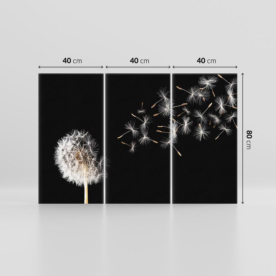 Obraz na płótnie 120x80 - Delikatne płatki dmuchawca - dmuchawiec, kwiaty