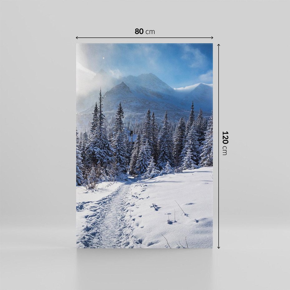 Obraz na płótnie 80x120 - Zimowe góry w lesie - góry, zima