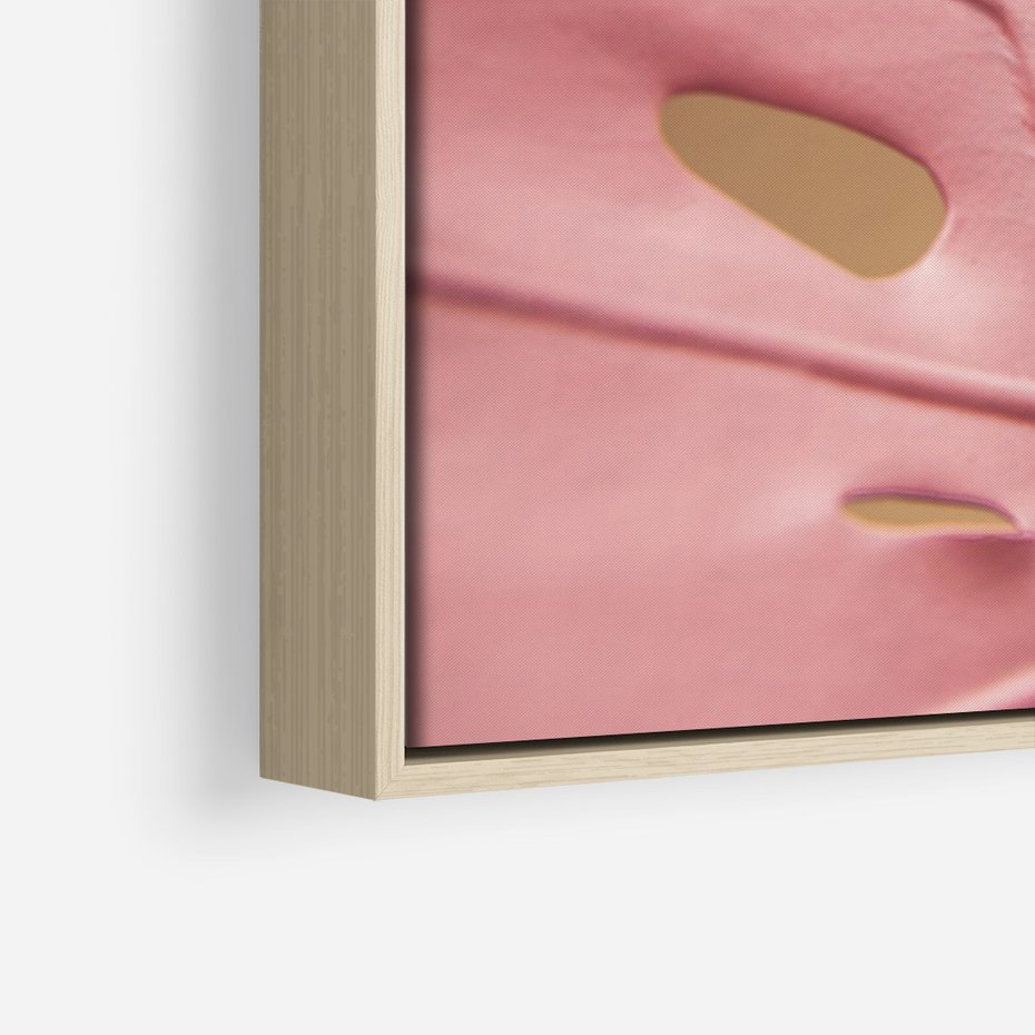 Obraz w ramie 50x70 - Różowa monstera w pełnym rozkwicie - różowa, monstera - rama drewno