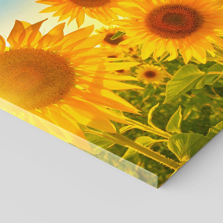 Obraz na płótnie 50x50 - kolorowe promienie - słoneczniki, kwiaty