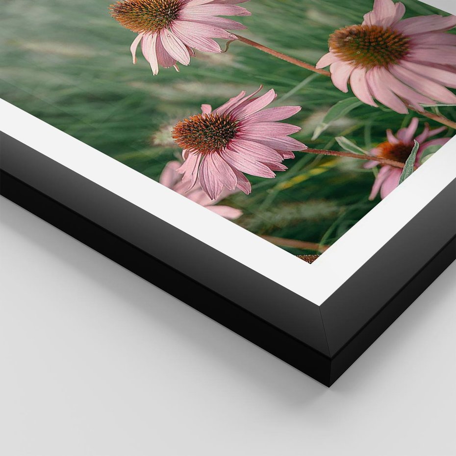 Plakat w ramie 40x50 - Natura w Pełnym Blasku - kwiaty na łące, różowe kwiaty polne - rama czarna
