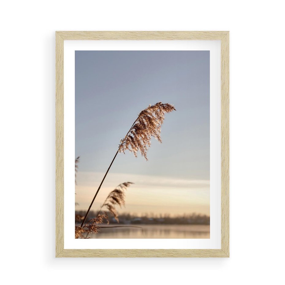 Plakat w ramie 50x70 - Naturalna Delikatność - trawy, boho - rama drewno