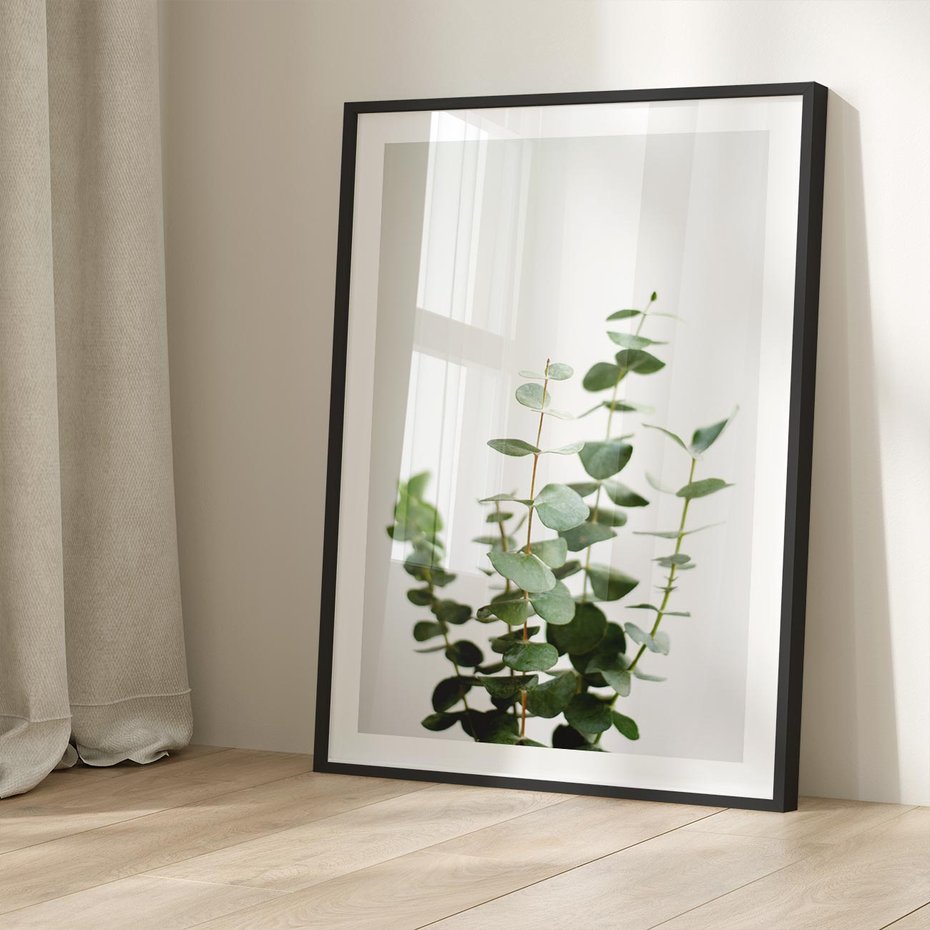 Plakat bez ramy 40x50 - Żywa eukaliptusowa zieleń - eukaliptus, zielone