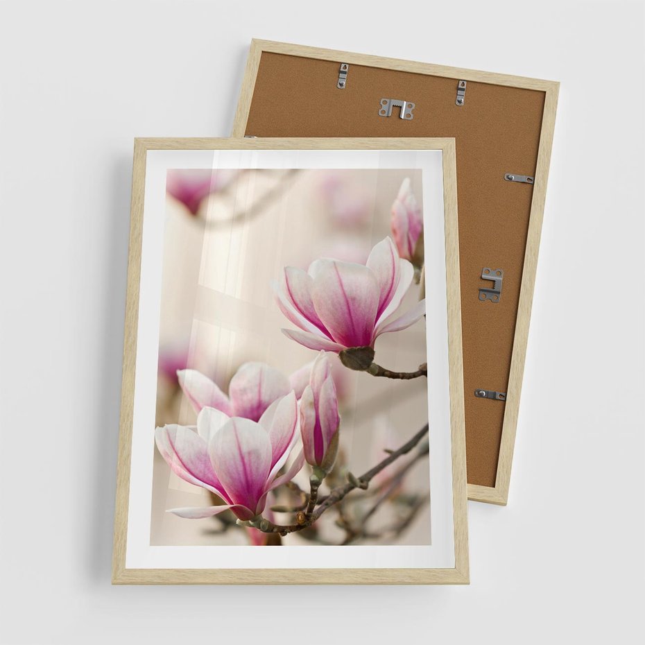 Plakat w ramie 50x70 - Urok Magnolii - magnolie, kwiaty - rama drewno